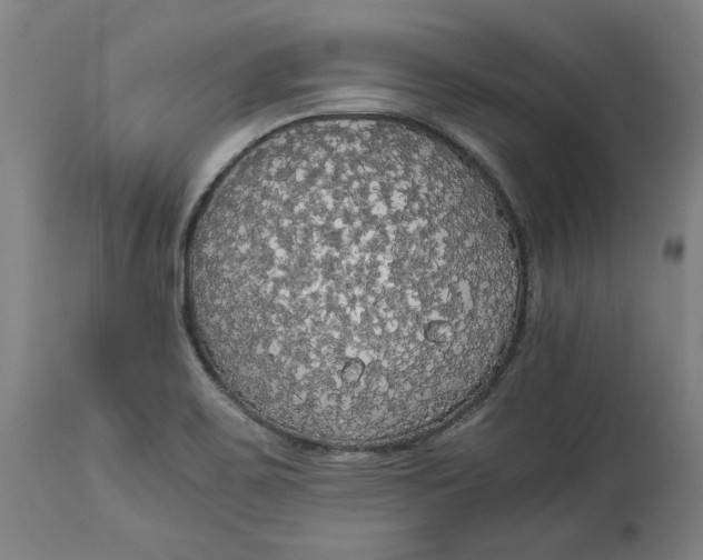 X0000114541467200911091122