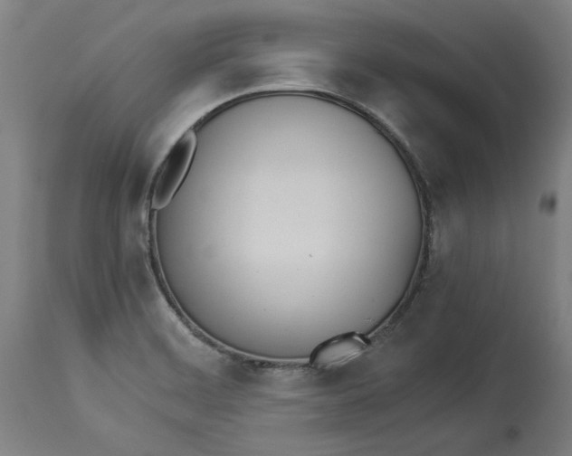 X0000114541468200911091122