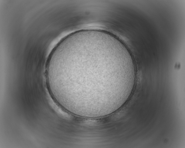 X0000114541470200911091122