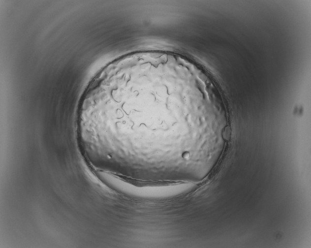 X0000114541471200911091122