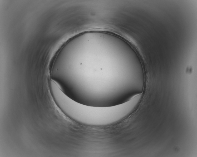 X0000114541472200911091122