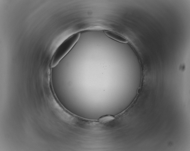 X0000114541476200911091122