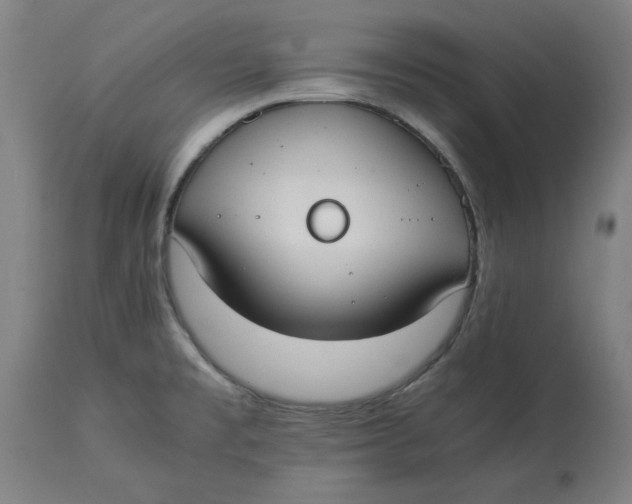 X0000114541477200911091122