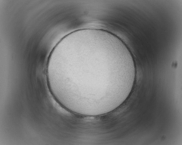 X0000114541478200911091122