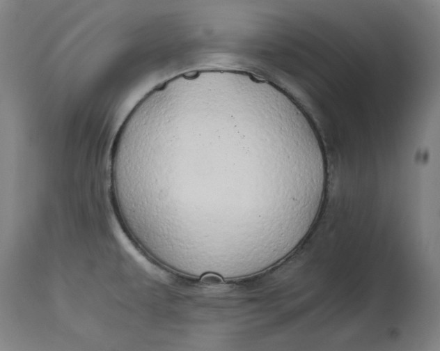 X0000114541479200911091122