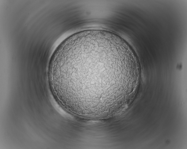 X0000114541482200911091122