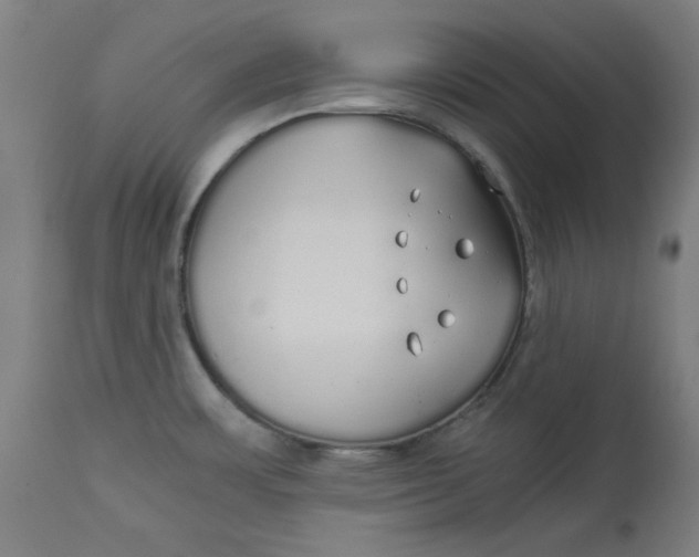 X0000114541483200911091122