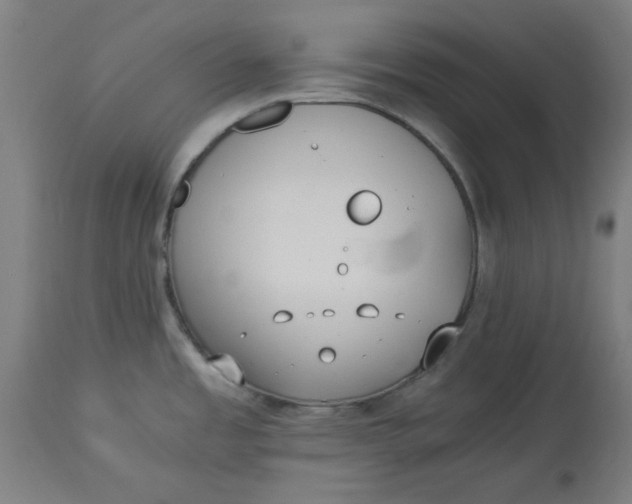 X0000114541485200911091122