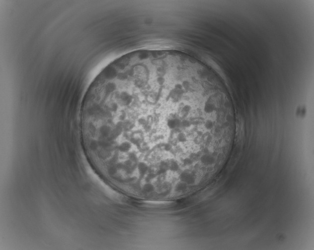 X0000114541487200911091122