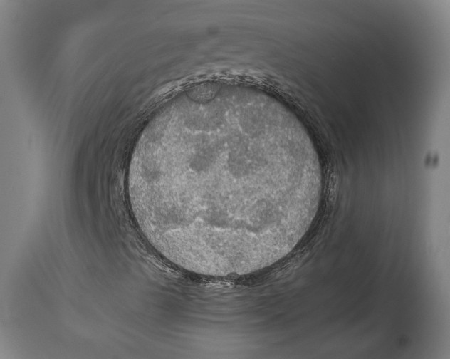 X0000114541489200911091121