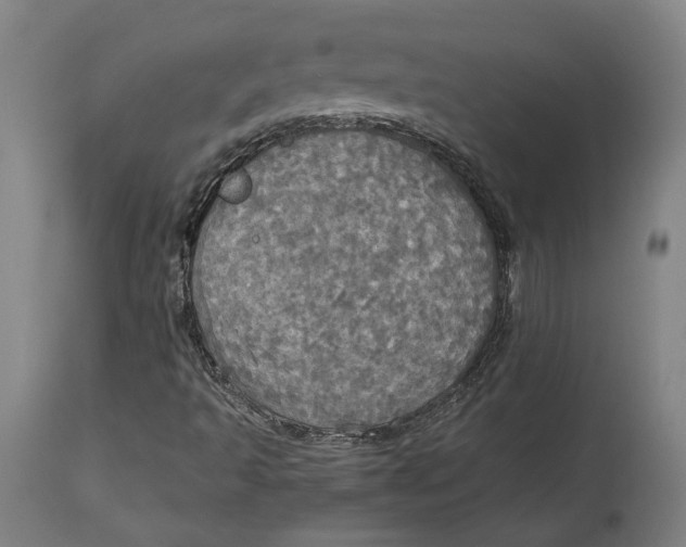 X0000114541493200911091121