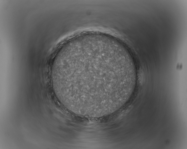 X0000114541494200911091121