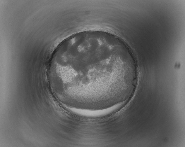 X0000114541497200911091121