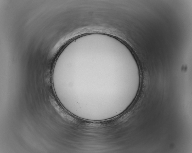 X0000114541499200911091121