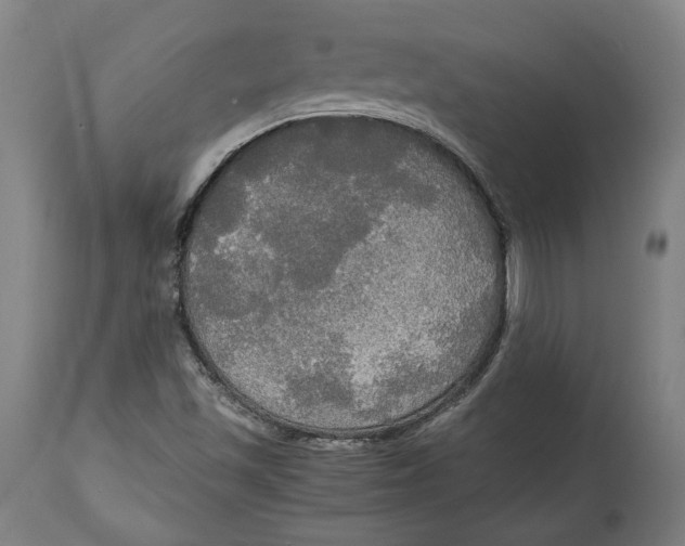 X0000114541501200911091121