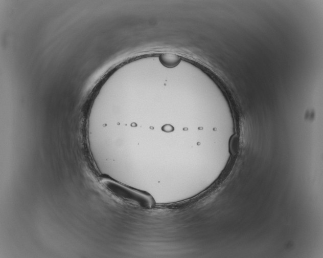 X0000114541502200911091121