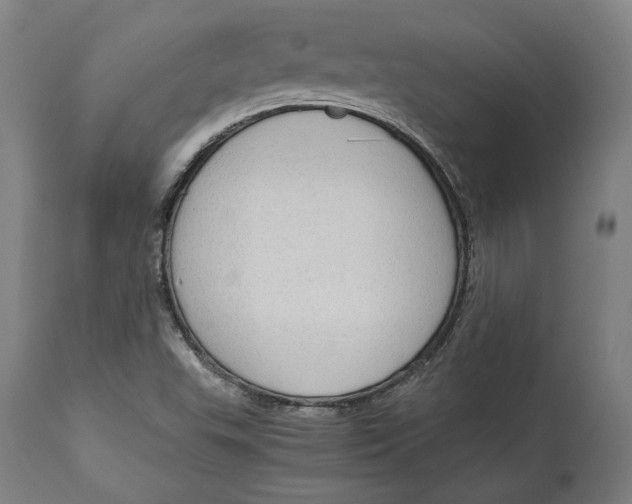 X0000114541503200911091121