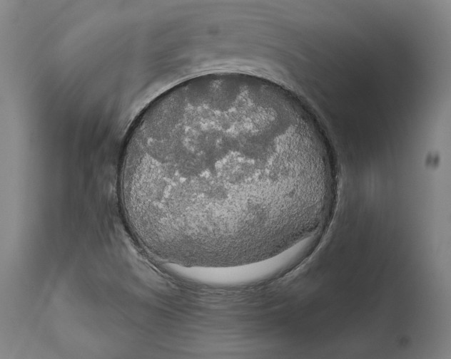 X0000114541505200911091121