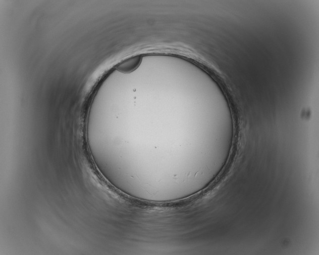 X0000114541506200911091121