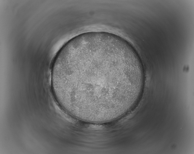 X0000114541509200911091121