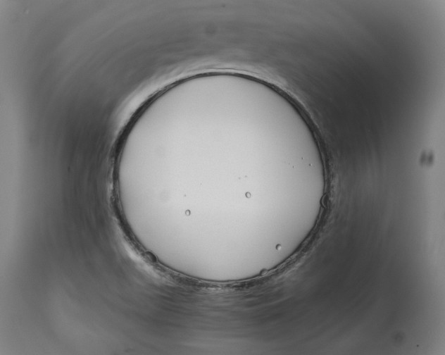 X0000114541511200911091121