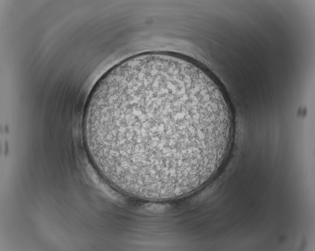 X0000114541513200911091121