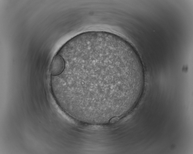 X0000114541517200911091121