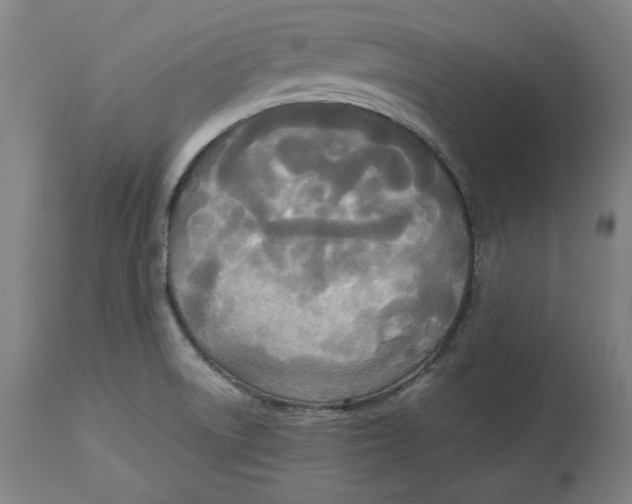 X0000114541522200911091121