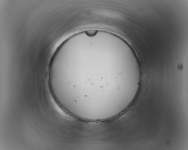 X0000114541523200911091121