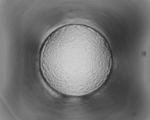 X0000114541525200911091121