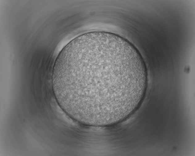 X0000114541529200911091121