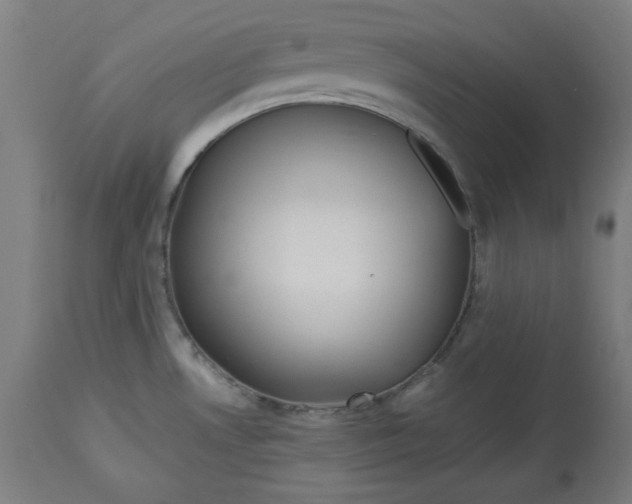 X0000114541530200911091121