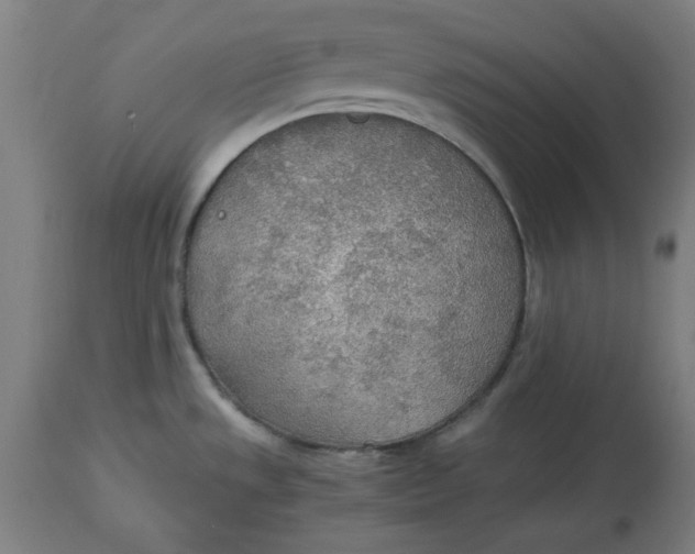 X0000114541533200911091121