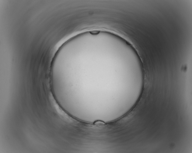 X0000114541534200911091121