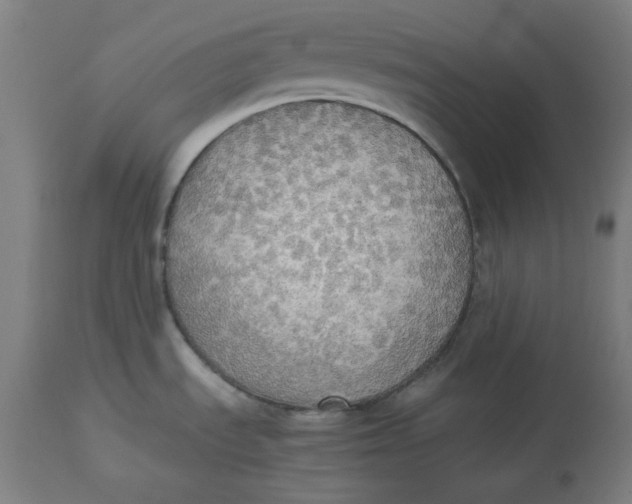 X0000114541535200911091121