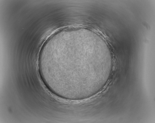 X0000114540002200911161407