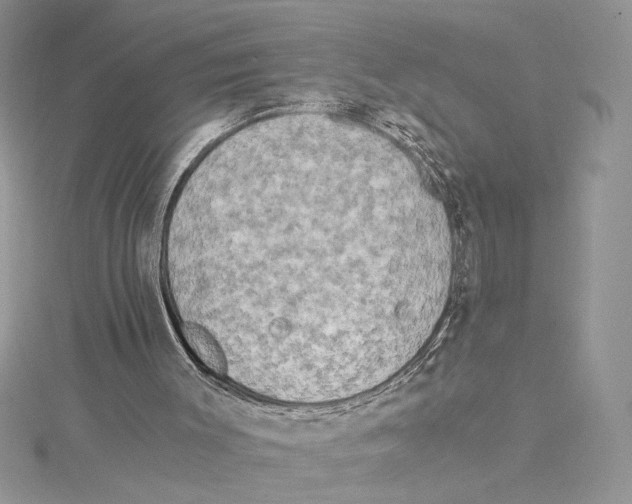 X0000114540003200911161407