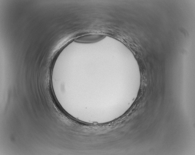 X0000114540005200911161407