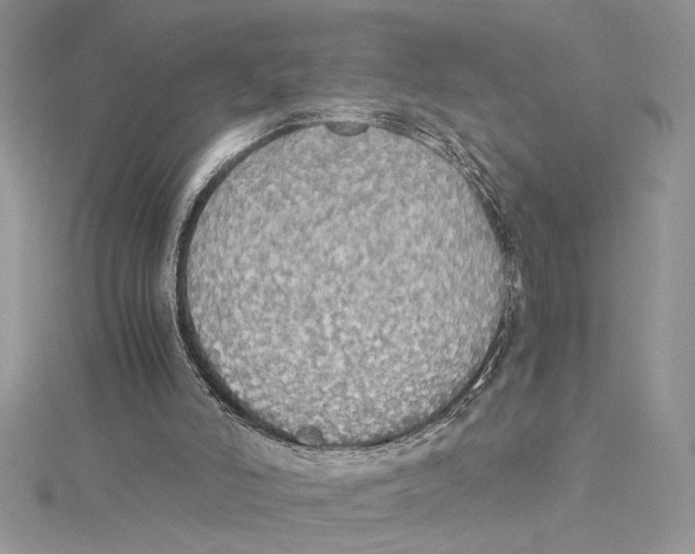 X0000114540006200911161407