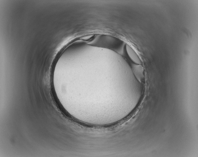 X0000114540008200911161407