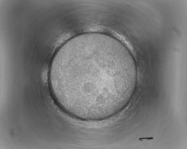 X0000114540010200911161407