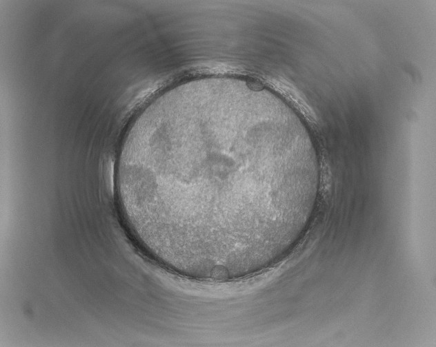 X0000114540014200911161407