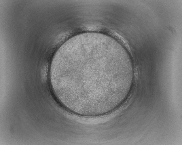 X0000114540018200911161407