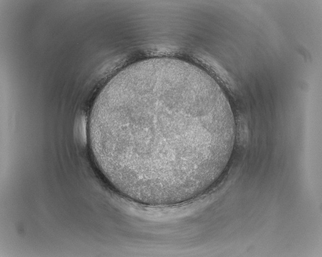 X0000114540022200911161407