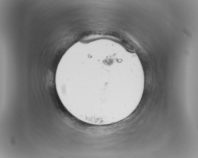 X0000114540025200911161407