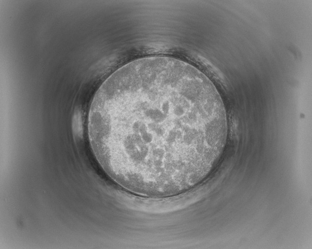 X0000114540026200911161407