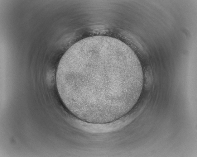 X0000114540034200911161407