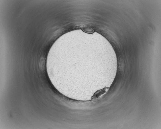 X0000114540036200911161407