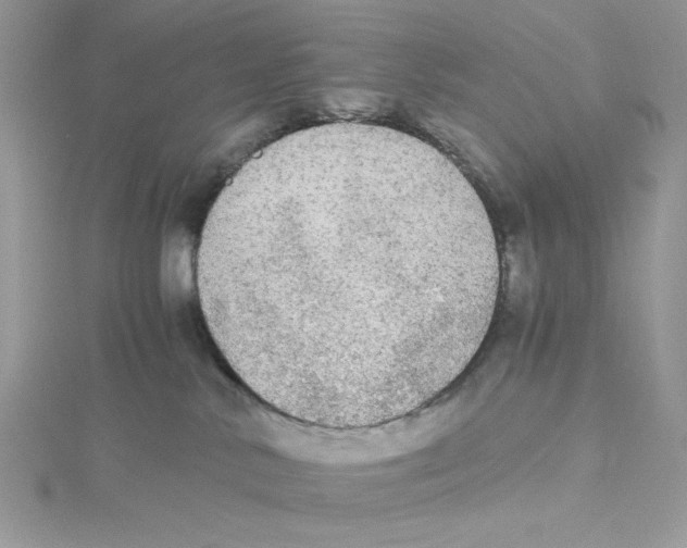 X0000114540042200911161407