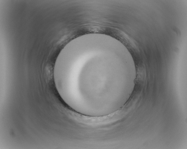 X0000114540043200911161407